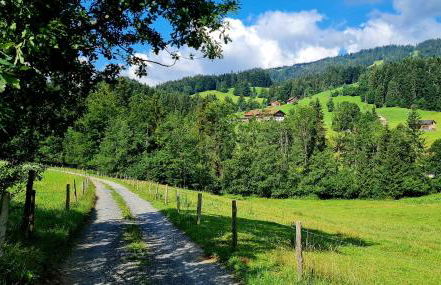 Landhaus Eibelesee - Foto 8