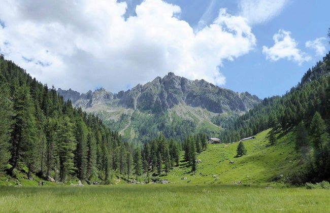 Belvilla by OYO Baita Silana - Foto 32