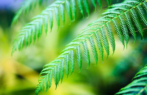 Casa da Portada - Foto 17