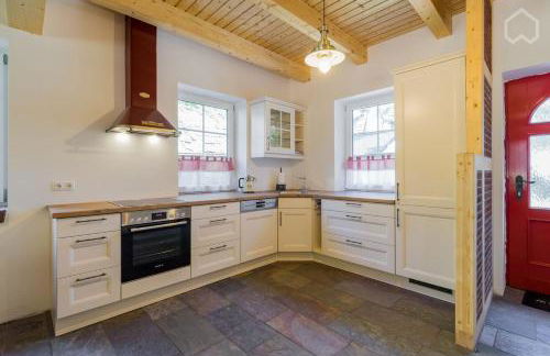 Welsh Dragon - Foto 32