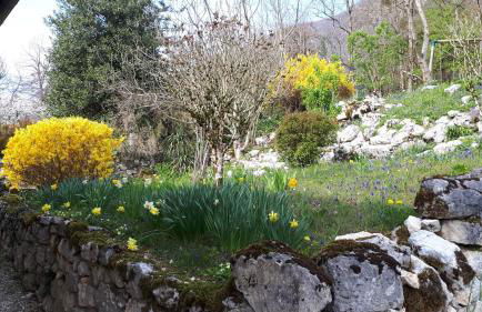 Gîte entre Vignes et Montagne - Photo 48