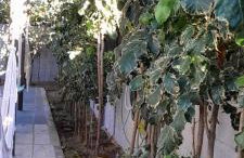 Recanto Portinho - Foto 32