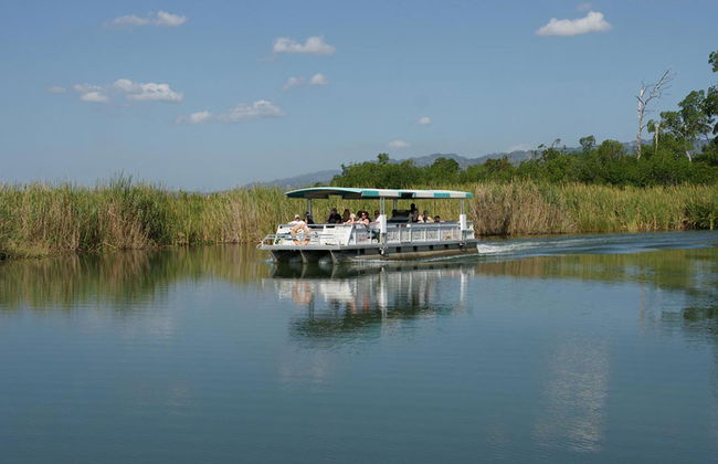 Excursión de día completo a Black River y YS Falls - Foto 2