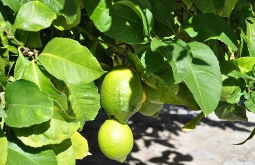 Del mar 37 - Foto 33