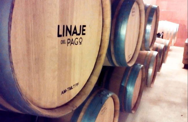 Free tour del vino en El Sauzal - Foto 6