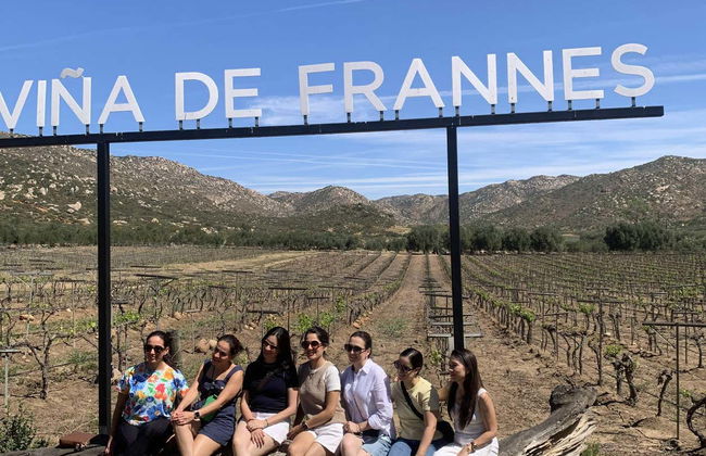 Guadalupe Valley Vineyards Bike Tour - Photo 14