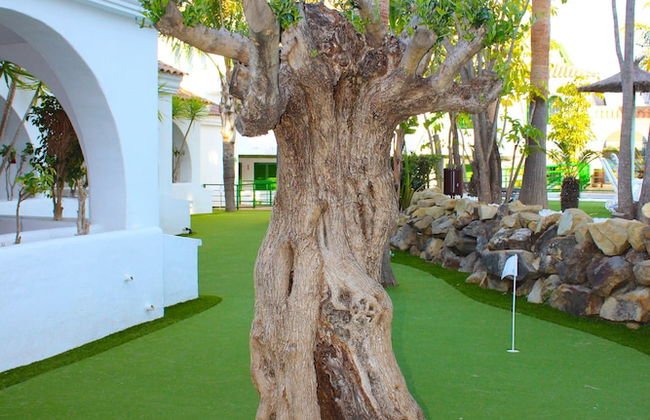 Hotel Apartamentos Manilva Sun - Photo 73