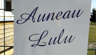 Hébergements le Camp d'Auneau - Auneaululu - Foto 5, Other