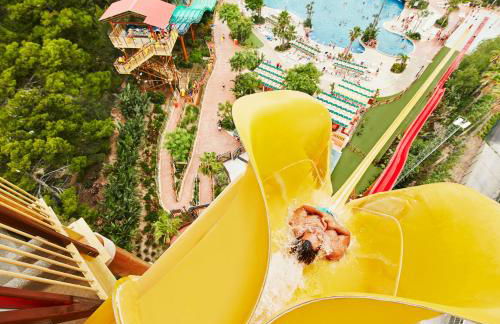 Casa Rosales 6 - Photo 47