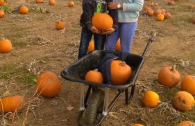 2013 Willerby Sunset Static Caravan Holiday Home - Foto 86