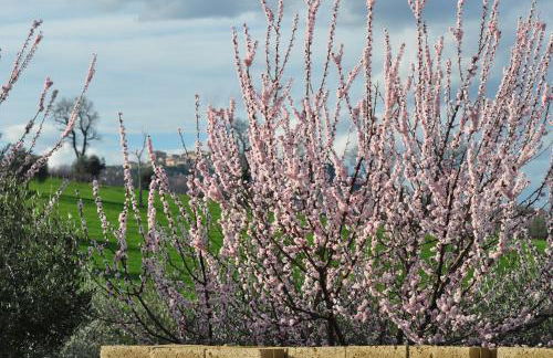 Agriturismo La Limonaia - Foto 123