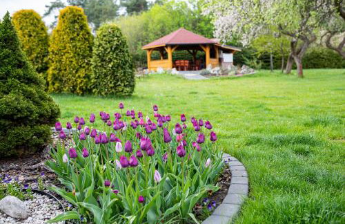 SKALNY apartamenty, pokoje - Foto 52