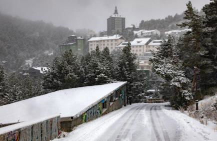 La Arbolada - Foto 4