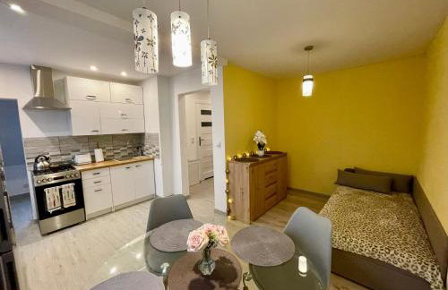 Przytulne Apartamenciki tuż przy Termach i Parku, nieopodal szlak na Turbacz, GPN, KGP - Foto 12