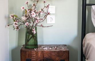 Anassa Mountain House - Foto 42