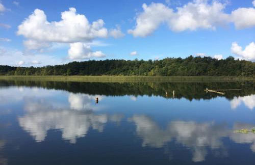 Nachtigall - Foto 27