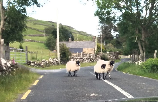 Villa Pio Luxury Apartment 3km From Historic Cong, Ashford Castle, Ashford Lodge - Foto 17