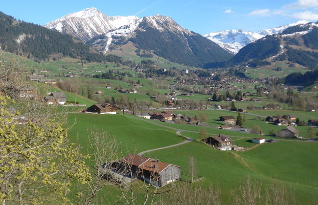 Fluehüsli - Foto 10