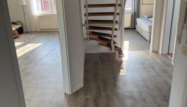 Schöne Ferienwohnung am Waldrand - Foto 3