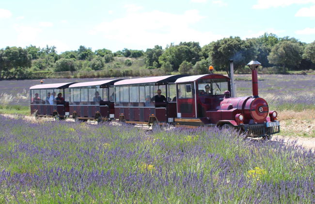 Visita a la Maison de la Lavande - Foto 1