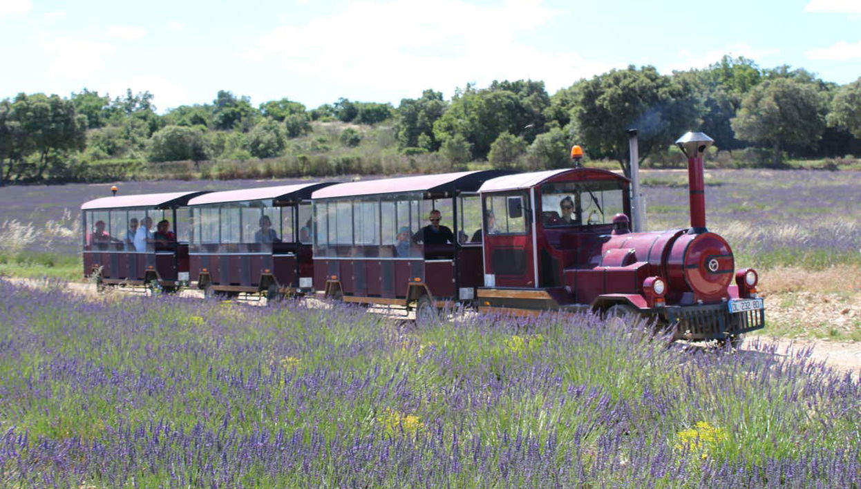 Profitez de la balade en train touristique