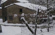 SO MAGIC - La casa nel bosco - Foto 35