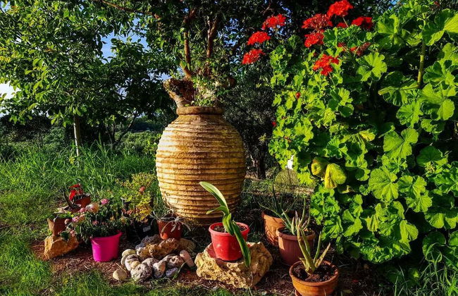 Marianos Apartments - Foto 33