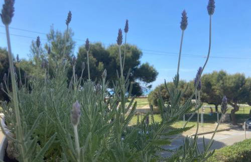 Confortevole appartamento tra spiaggia e pinete - Foto 21