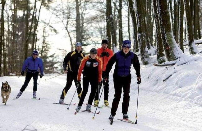 Apartment in the Hochsauerland Region in a Quiet Location - Foto 73