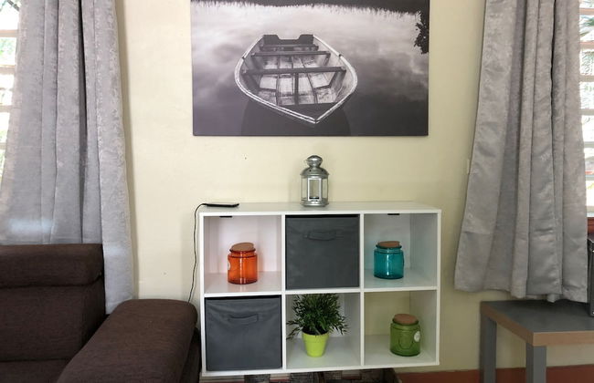 Gladiolas 1 209 - Foto 10