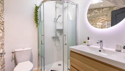 L'alouette - Studio Duplex Confort en Hypercentre - Photo 5, towels, Shower