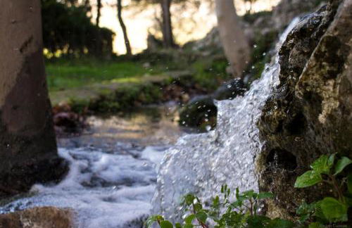 Casa Rural El Puente - Foto 12