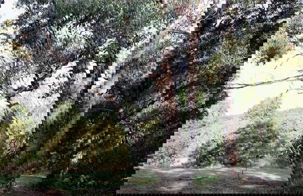 La Boheme Villa - Foto 17