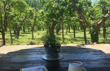 Czytelnia w Sadzie - Foto 29