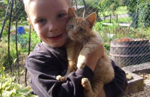 Grub-Daniel-Hof - Foto 19