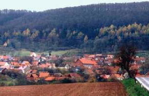 Forest Guest House - Foto 38