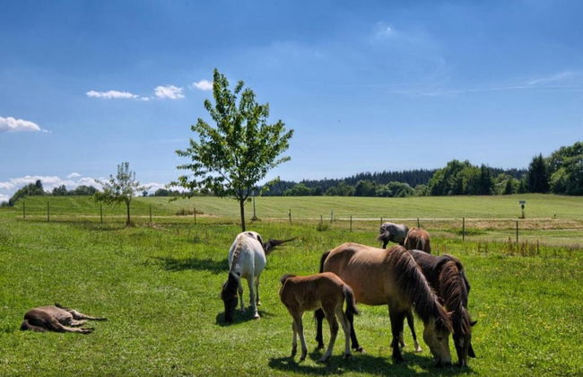 Charming Apartment, Harz Region - Foto 12