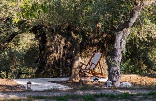 Villa Nena - Foto 12