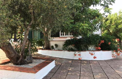 Villa Il Carrubo - Basilicata - Foto 16