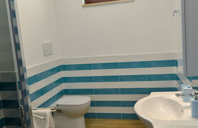 Sofia flora - Photo 56