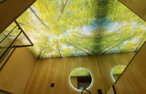 Schody do wody Domek z linią brzegową Kaszuby sauna goraca balia - Foto 53