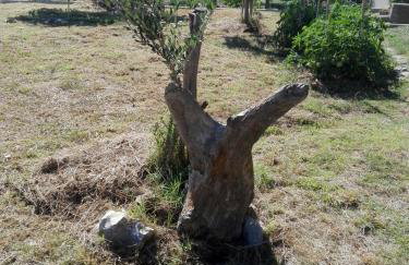 Apartment Marijan - Rtina - Foto 22