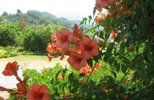 Agriturismo Cascina Serra - Foto 53