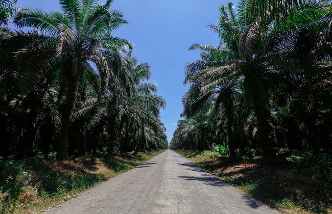 2 Comfortable New Villas Near Pacific, Private Pool With Waterfall! - Photo 14