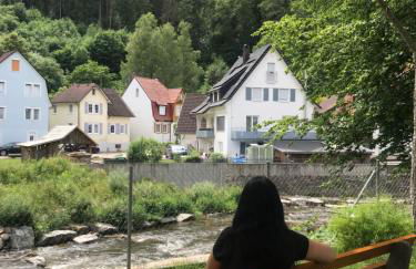 S-VILLA Apartments im Schwarzwald - Foto 11