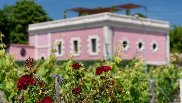 Domaine viticole du Médoc