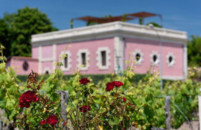 Medoc Wine Tour - Photo 3