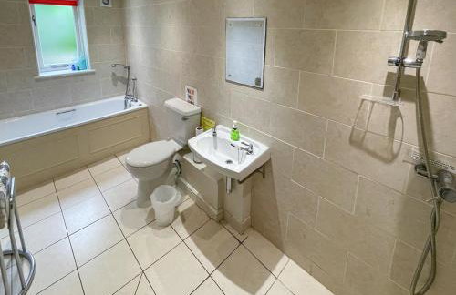 Lily Pad 5 - Uk43913 - Foto 9