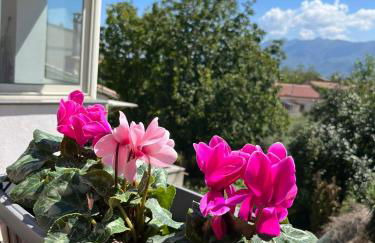 Nonna Maria - Foto 18