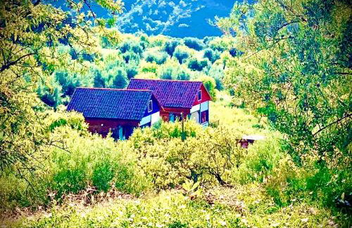 Apartamentos la Jayma del Arte - Foto 36